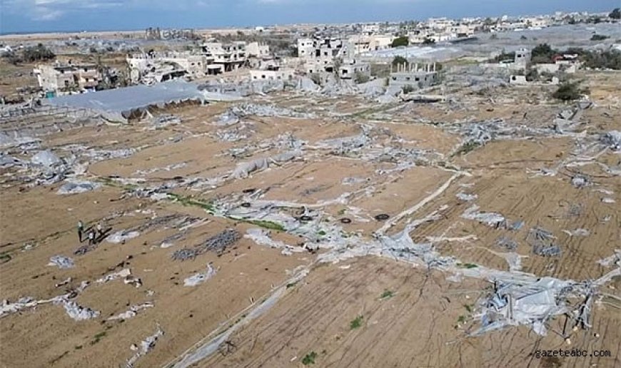 Gazze’de Tarım Felaketi