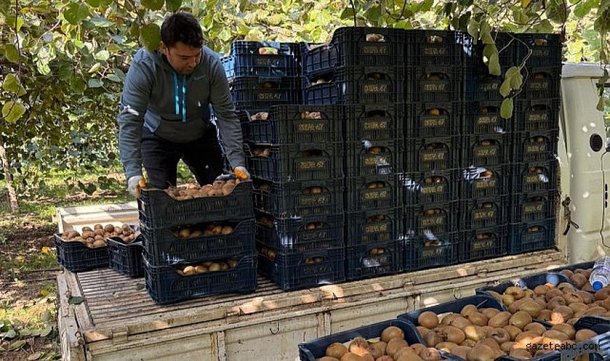 Hafta İçi İş İnsanı, Hafta Sonu Çiftçi: Engin Balta'nın İki Yönlü Başarısı