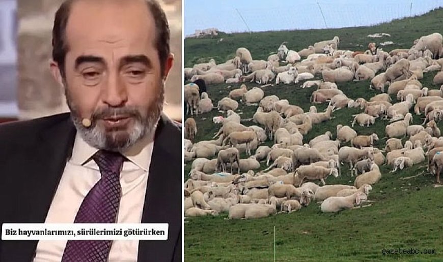 Koyunların Götürdüğü Şehit Sırrı