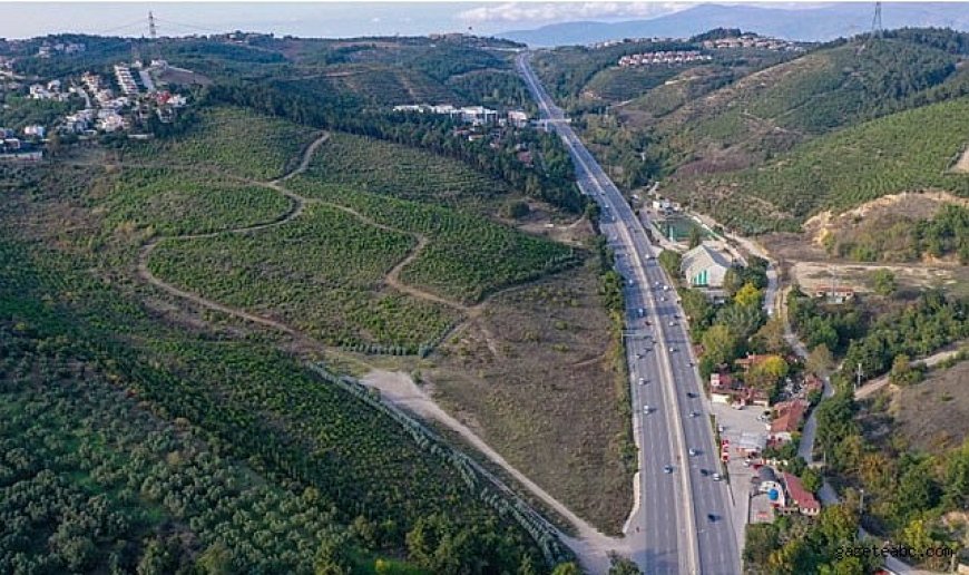 Bursa Yeniden Yeşeriyor