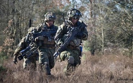 Orduya Ait Mühimmat Tırdan Çalındı