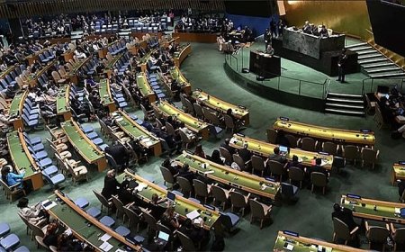 Filistin İçin Tarihi BM Kararı