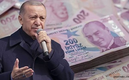 Erdoğan, Kamu Tepkisini Dikkate Aldı