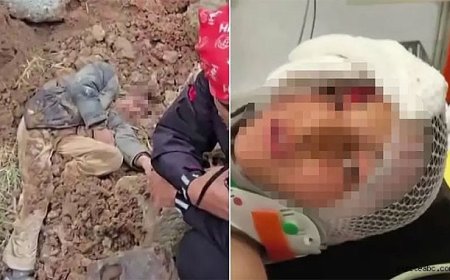 Hatay'da Dayı Vahşeti