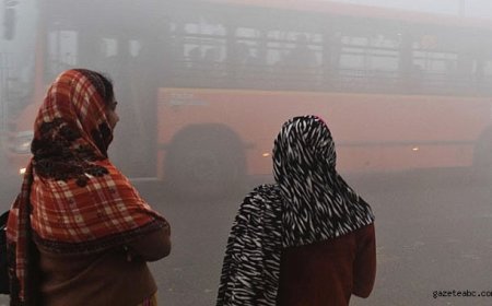 Yoğun Sis Ulaşımı Felç Etti