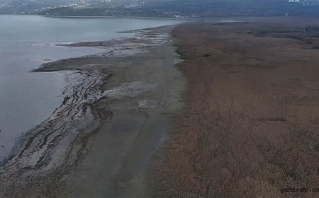 Doğu Marmara’nın Can Damarı Kuruyor