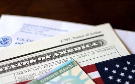 ABD, Green Card Başvurularını Askıya Aldı