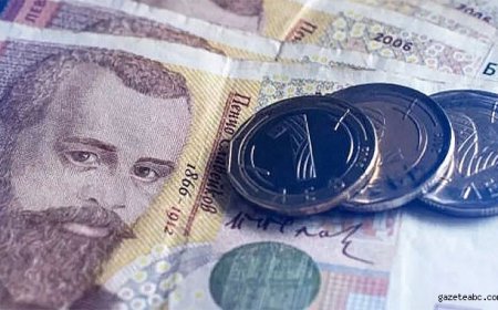 TCMB'den Döviz Hamlesi