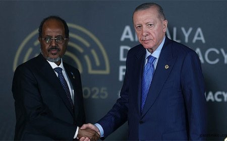 Somali-Türkiye İlişkilerinde Yeni Adım