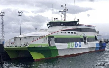 BUDO ve İDO’da sefer iptalleri