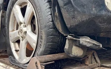 Elif Kumal’ın Aracından İlk Bulgular Paylaşıldı