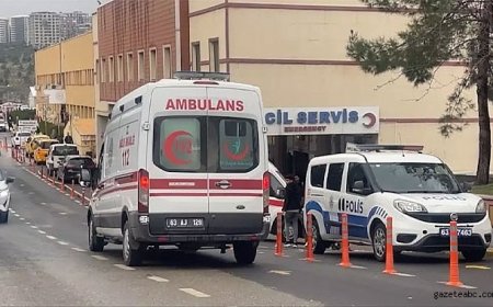 Tacizci Sapığa Meydan Dayağı