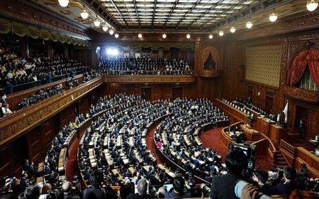 Japonya’da Siyasi Hareketlilik