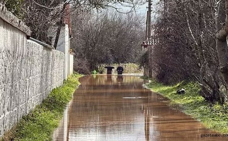 Kayıp Kadın Ağaca Asılı Bulundu