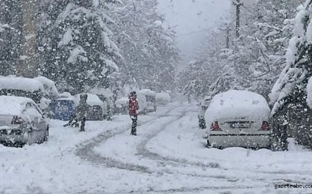 Soğuk ve Kar Kapıda