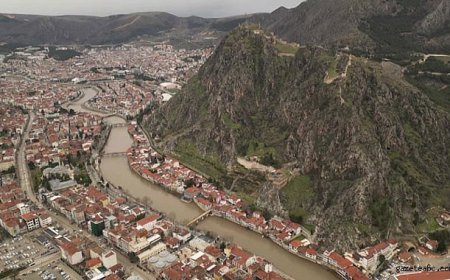 Anadolu’nun Bitki Hazinesi Tehlikede