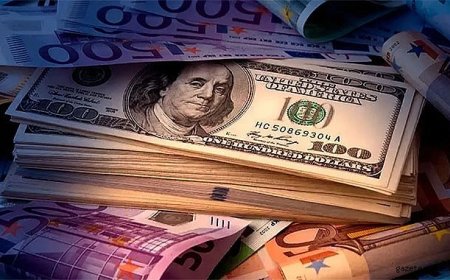 Dolar Fed Etkisiyle Yükselişte