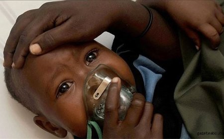 Nijerya’da Lassa Ateşi Alarmı