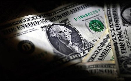 Dolar Değer Kaybetti