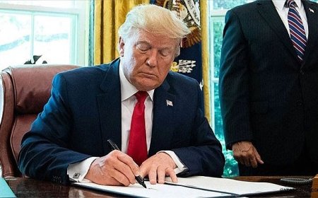 Gümrük Duvarı Yeniden Yükseliyor