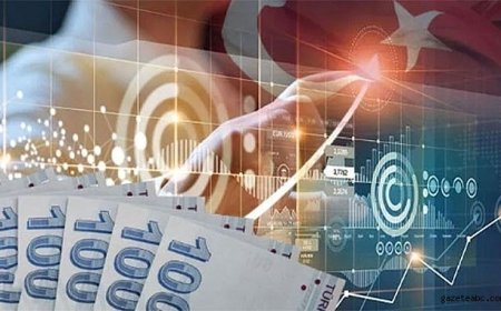 Türkiye Ekonomisinde Bir İlk