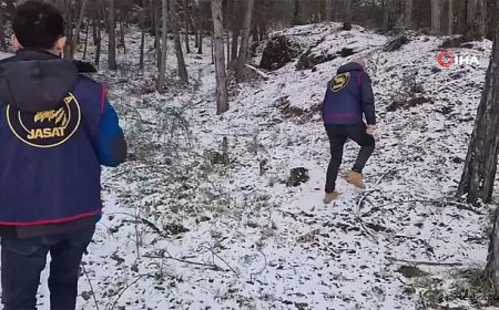 Soğuk Dosya Tek Bir İzmaritle Çözüldü