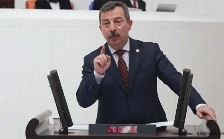 İYİ Partili Toktaş’tan Millî Parklar Yasası Eleştirisi