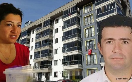 Profesör eş cinayetle suçlandı