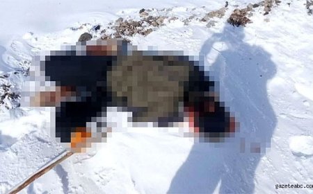 İran Sınırına Yakın Bölgede Şüpheli Ölüm