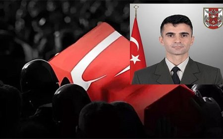 Ağrı'da askeri araç kaza yaptı