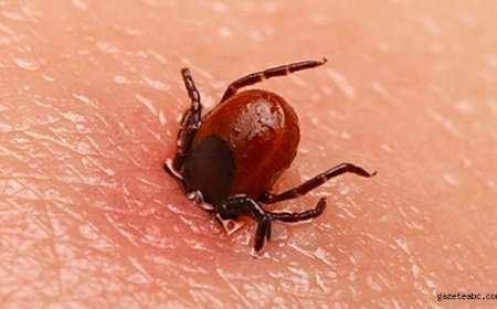 Altı Şehirde Risk Yükseldi