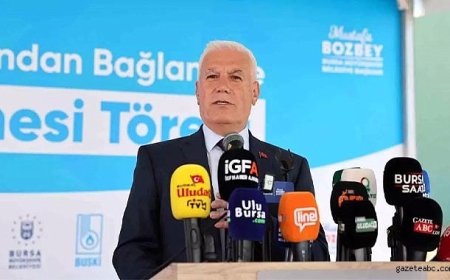 Bozbey: "Çağrılsaydım kendim giderdim"