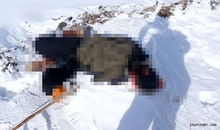 İran Sınırına Yakın Bölgede Şüpheli Ölüm