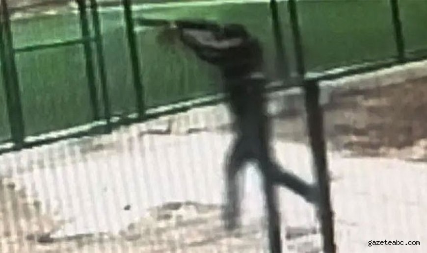 Parkta Dehşet