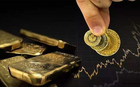 Darphane verileri açıkladı