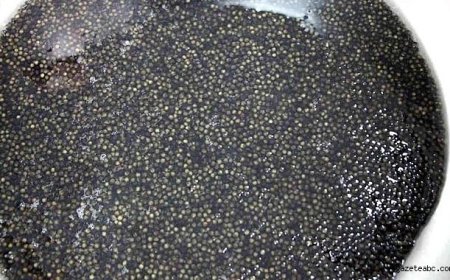 Siyah İnci Karadeniz’le Buluşuyor