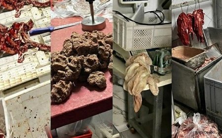 Sakarya’da Hijyen İhlaline Ağır Ceza