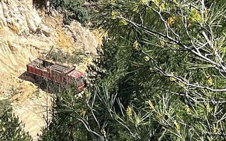 Ağaç Kesimi İddiaları Bölgeyi Gerdi