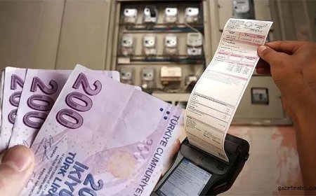 Enerji Desteklerinde Rekor Seviye