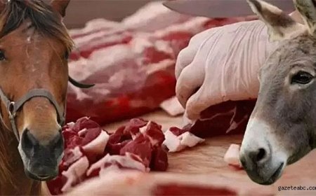 Halk Sağlığını Tehdit Eden Firmalar Tek Tek İfşa Edildi