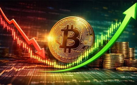 Bitcoin 12 Haftanın Zirvesinde