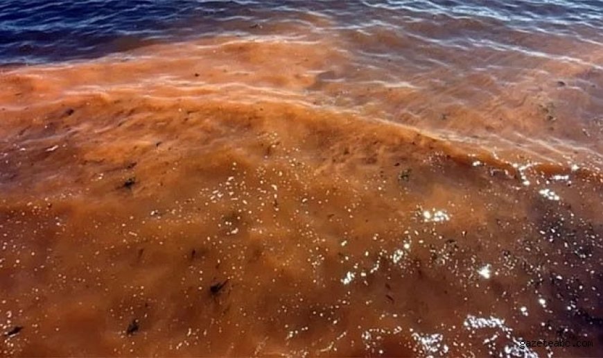 Marmara’da Şaşırtan Görüntü: "Deniz Rengi Değişti"