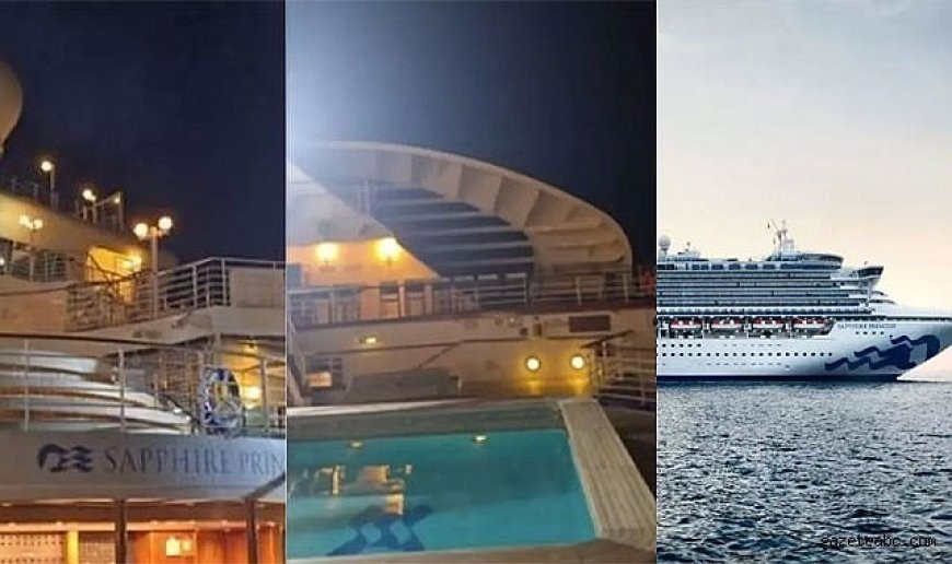 Yolcu Gemisinden Korkunç Keşif