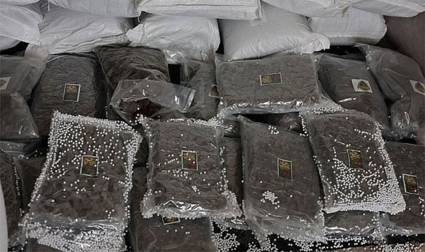 MİT ve Suriye'den Dev Operasyon