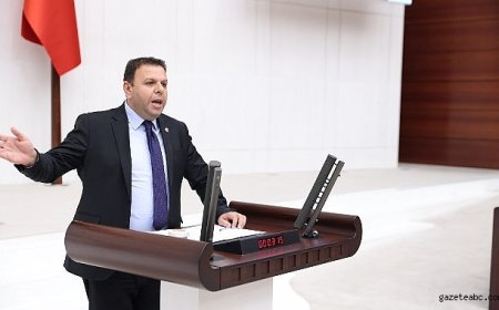 Her 10 Ayçiçeği Tohumunun 6’sı Romanya ve Bulgaristan’dan Geliyor