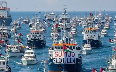 İsrail Askerlerinden Filoya Müdahale