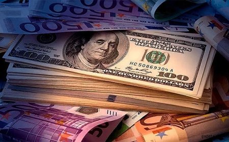Döviz Piyasası Güne Yükselişle Başladı