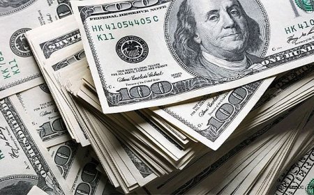 Dolarda Türkiye’de Tarihi Zirve