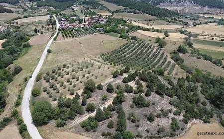 Karacabey’de Milyonluk Tarla İhalesi