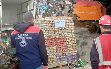 Organik Etiketli Sahte Yumurtalara Baskın